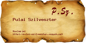 Pulai Szilveszter névjegykártya