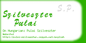 szilveszter pulai business card